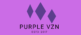 purplevzn.com